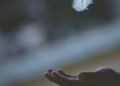 shallow focus photography of white feather dropping in person's hand