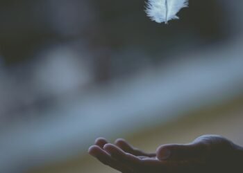 shallow focus photography of white feather dropping in person's hand